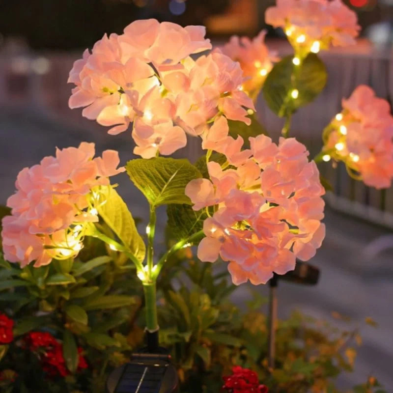 Pink hydrangea stake lights glowing in a garden bed — Casa Norex
