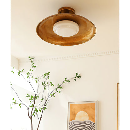 Gilded iron ceiling light glowing warmly above a plant branch — Casa Norex