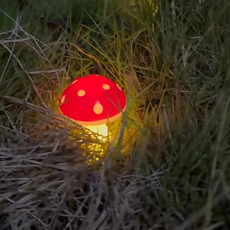 Single red mushroom light glowing warm in dry grass at night — Casa Norex
