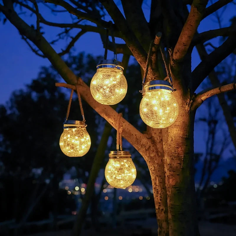 Three glowing glass lanterns hanging from tree branches at dusk | Casa Norex
