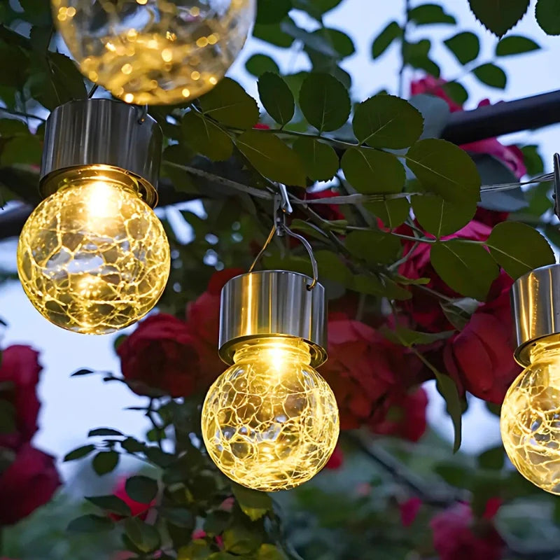 Crackle glass lanterns hanging among red roses at dusk — Casa Norex