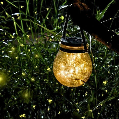 Single crackle glass lantern hanging among foliage and glowing warm white — Casa Norex