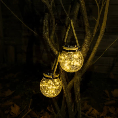 Two glowing lanterns hanging from bare branches at night — Casa Norex