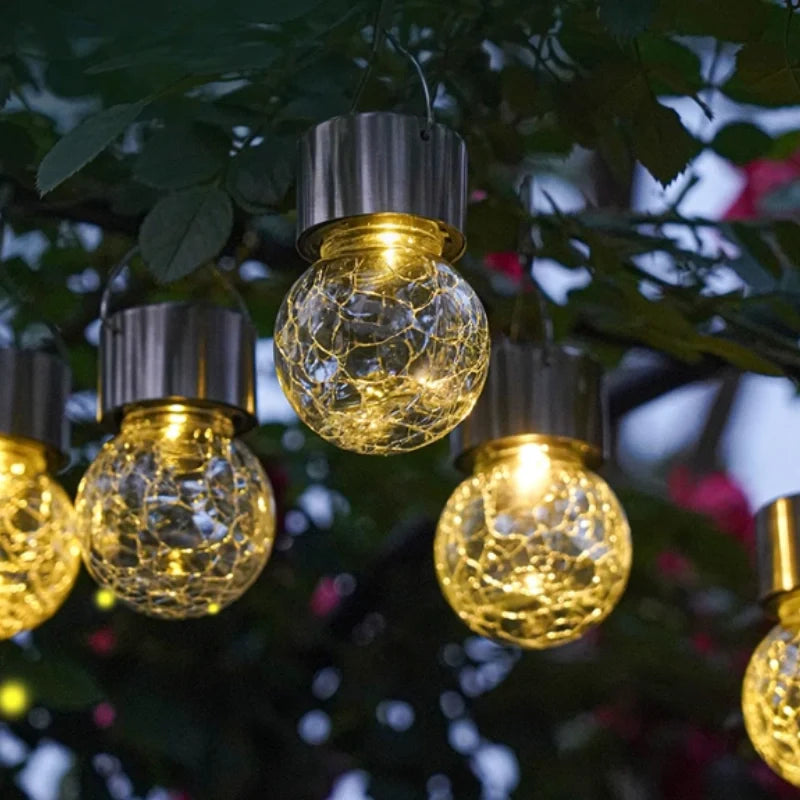 Lanterns hanging among roses and foliage with a warm glow — Casa Norex