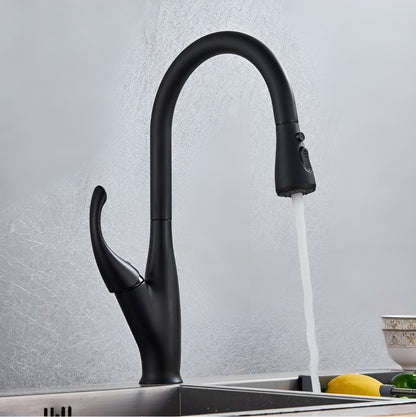 Winslow Victorian Pull-Out Kitchen Faucet — Matte Black finish, stream mode | Casa Norex