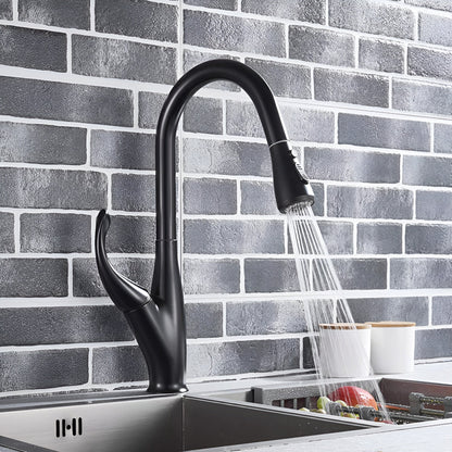 Winslow Victorian Pull-Out Kitchen Faucet — Matte Black finish, spray mode | Casa Norex