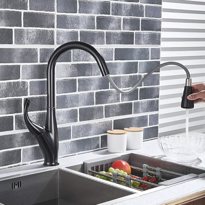 Winslow Victorian Pull-Out Kitchen Faucet — Matte Black finish, pull-out spout | Casa Norex