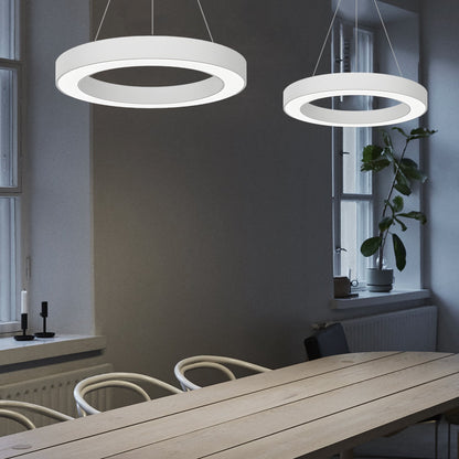 Loop LED Ring Pendant Light, product view 4