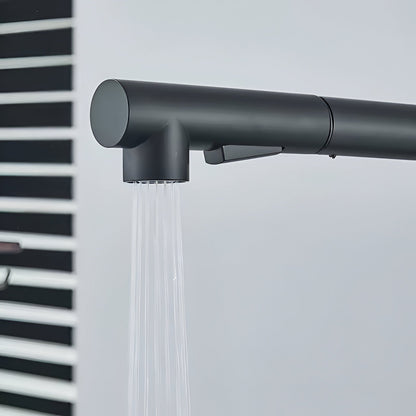 Fenwick High-Arc Pull-Out Kitchen Faucet — high-arc 360° swivel spout, angled view | Casa Norex