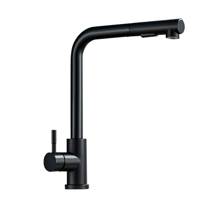 Fenwick High-Arc Pull-Out Kitchen Faucet — smooth-retract pull-out hose, angled view | Casa Norex