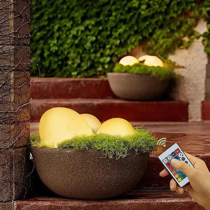 Warm stone lights in a planter with the remote control held in hand — Casa Norex