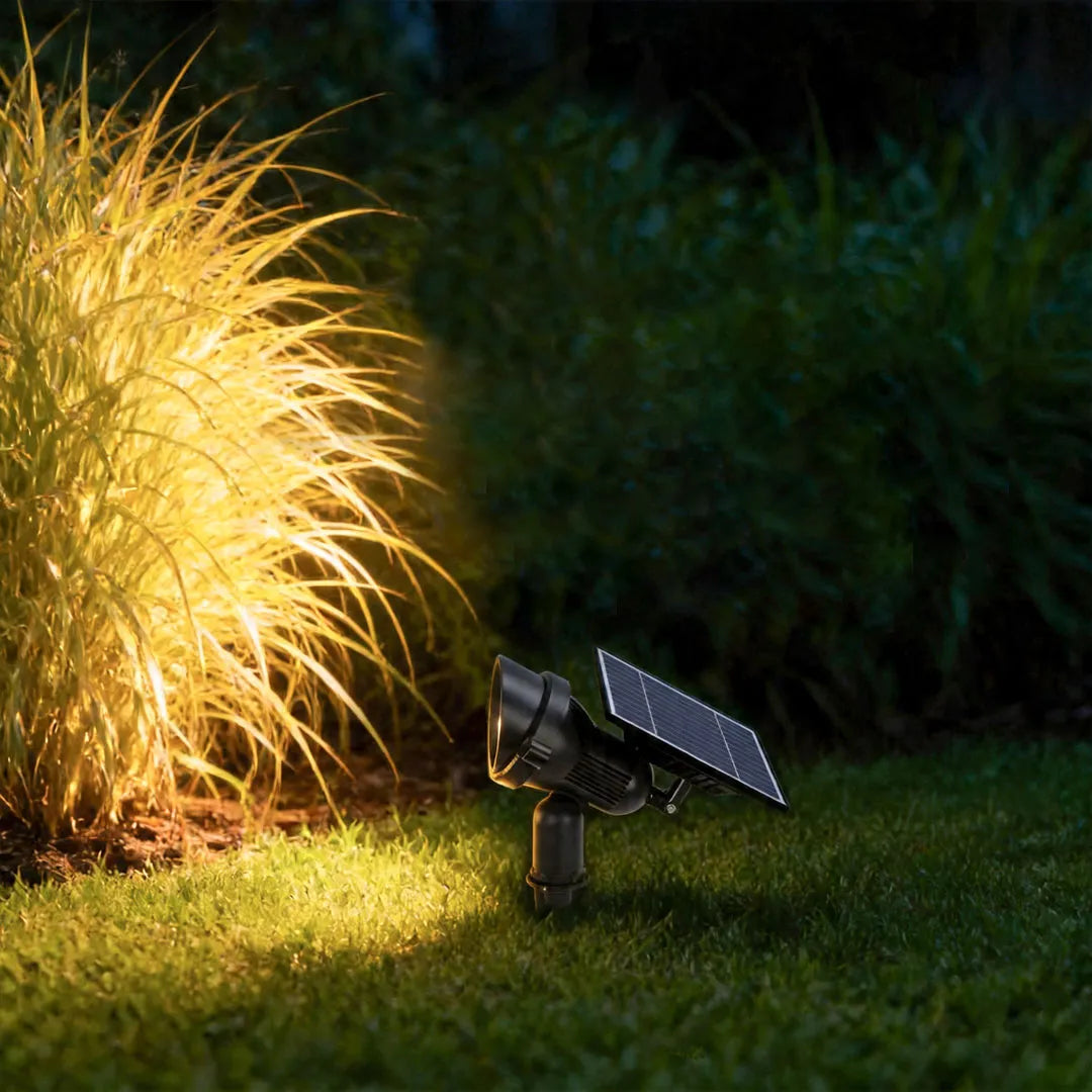 Solar lawn spot light close-up with ornamental grass — Casa Norex