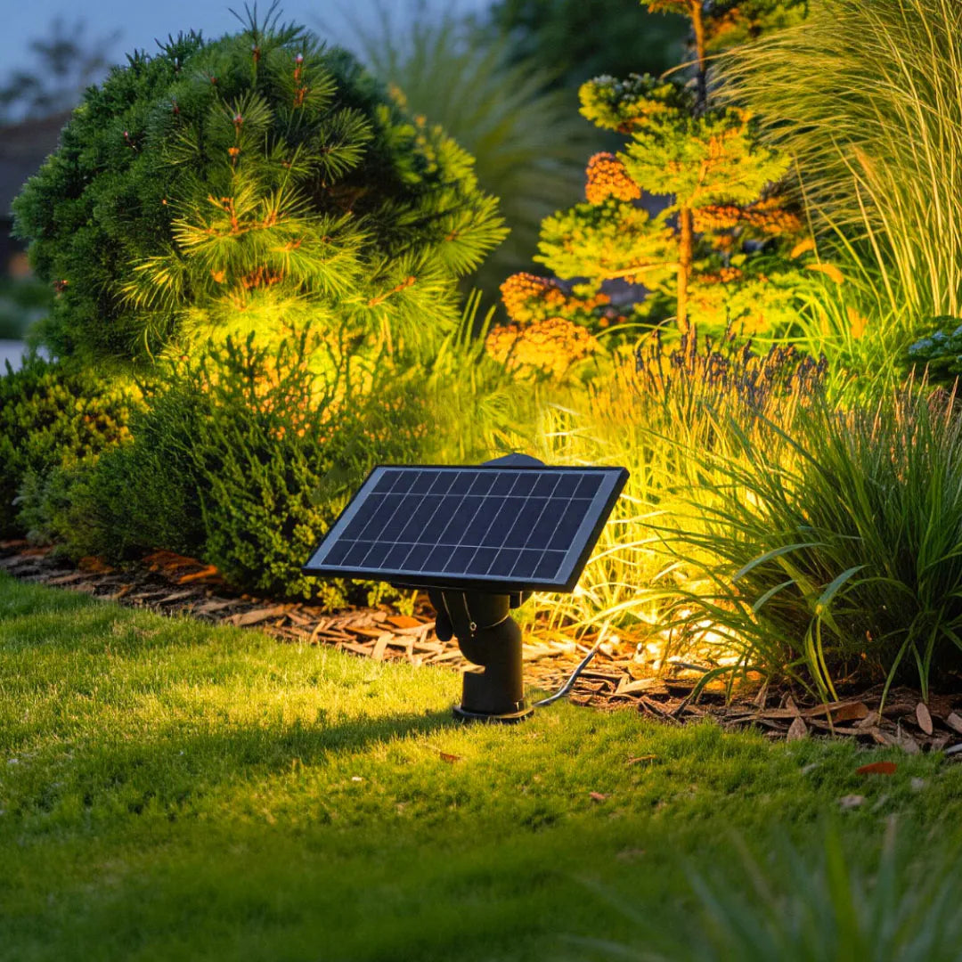 Solar powered spot lights on shrubs in a garden bed — Casa Norex