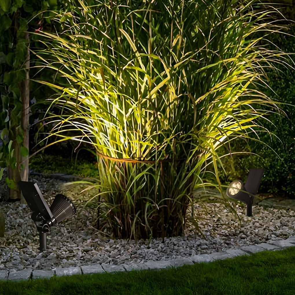 Fennel spot light in a garden on grass — Casa Norex