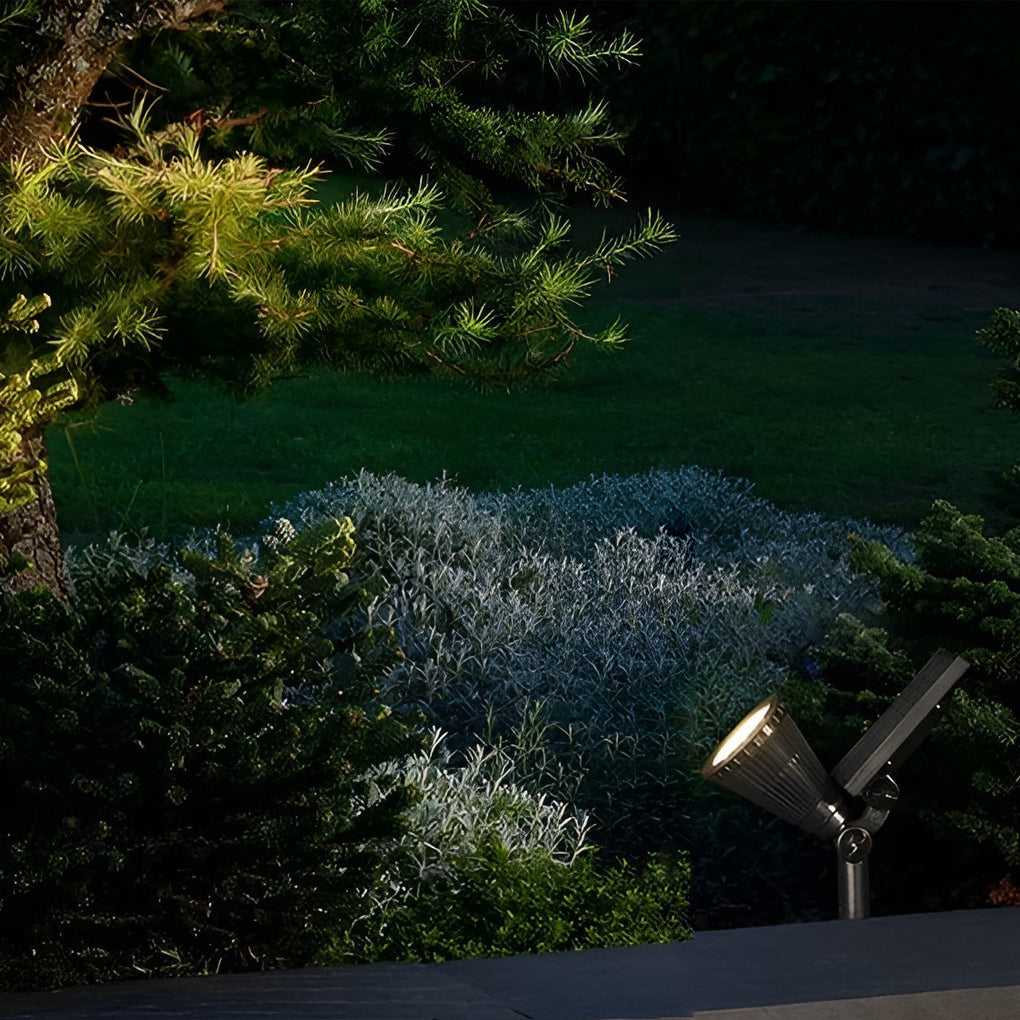 Fennel shrub uplighting — Casa Norex