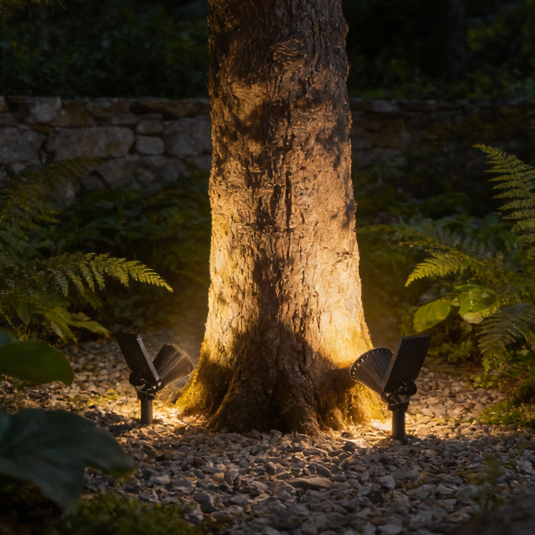 Fennel tree uplighting — Casa Norex