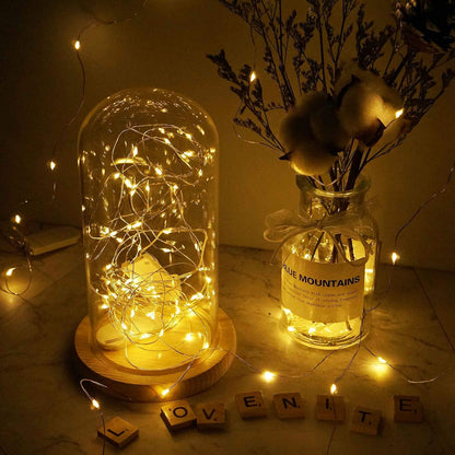 Fairy lights glowing inside a glass dome beside a vase on a table — Casa Norex