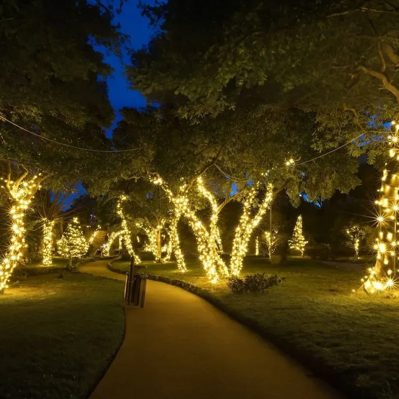 Trees along a garden path wrapped in warm white fairy lights at night — Casa Norex