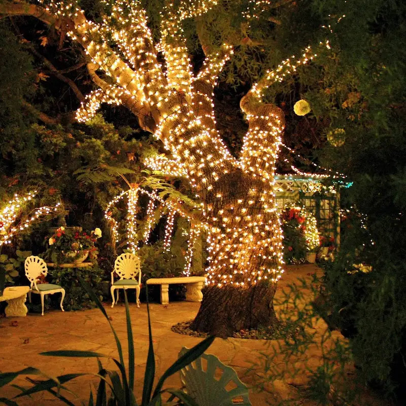 Tree trunk and branches wrapped in warm white fairy lights in a garden — Casa Norex